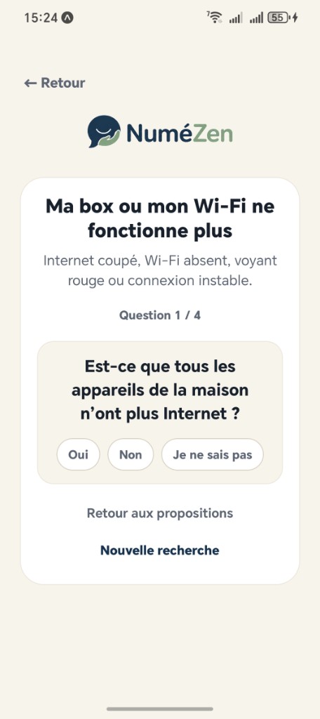 Diagnostic NuméZen — questions ciblées sur le problème
